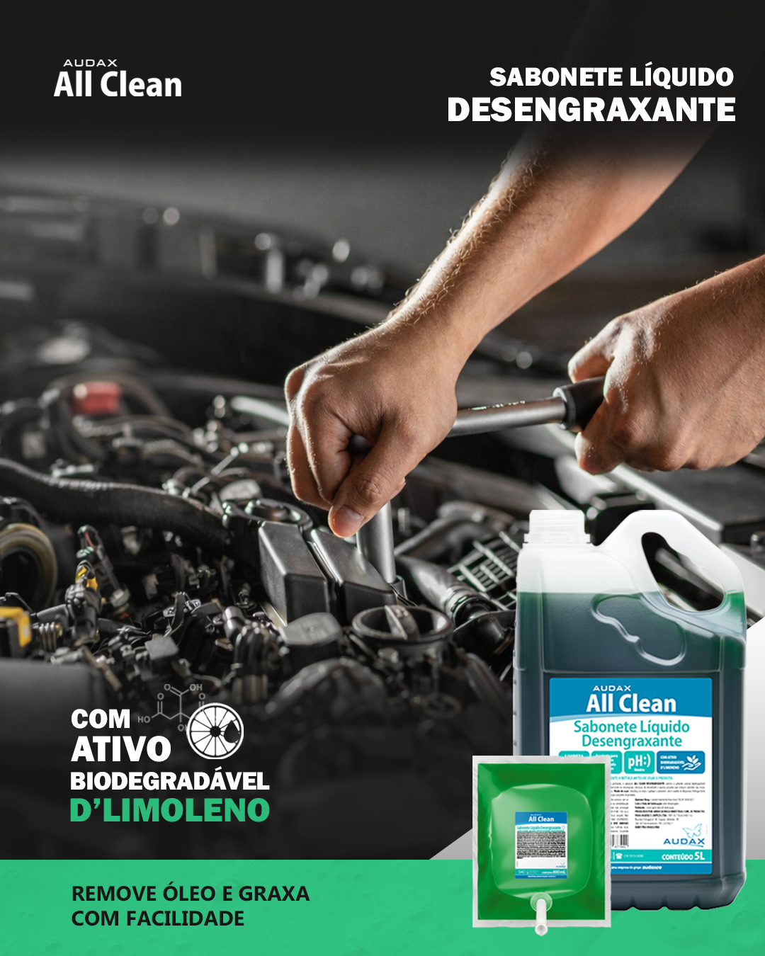 ALL CLEAN DESENGRAXANTE-2